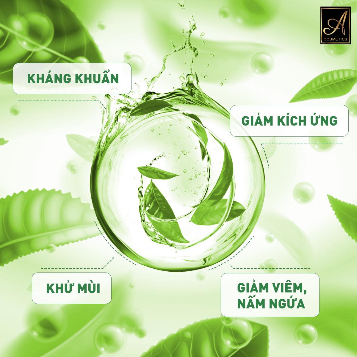 cam kết chất lượng của mỹ phẩm phương anh về dung dịch vệ sinh phụ nữ a cosmetics